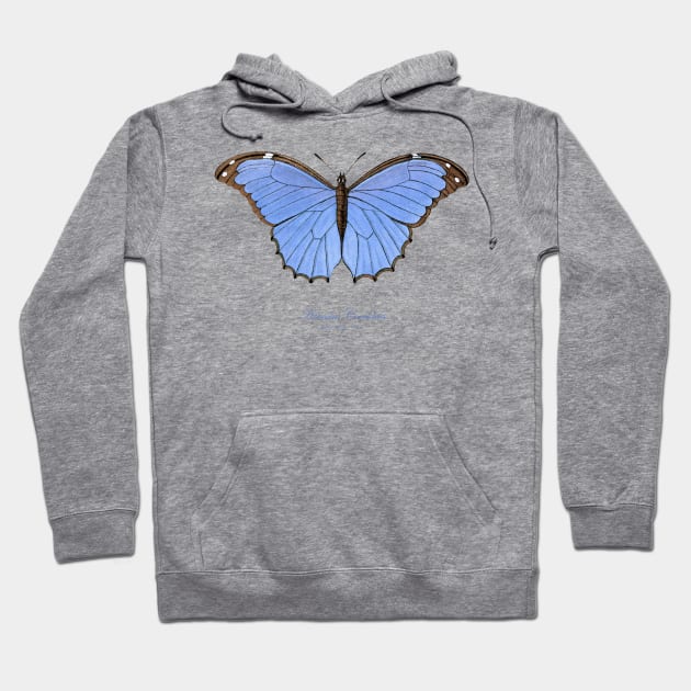 Butterfly - Menelaus Blue Morpho, Morpho Menelaus Coeruleus or Arcuatus Coeruleus Hoodie by SPJE Illustration Photography
